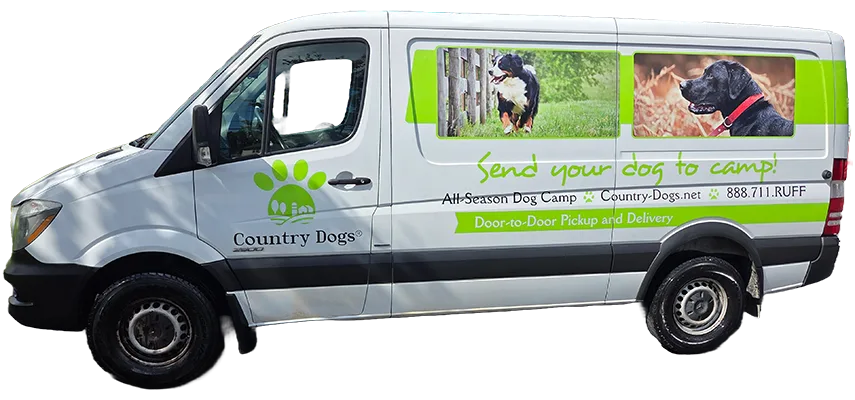 country dogs delivery pickup van